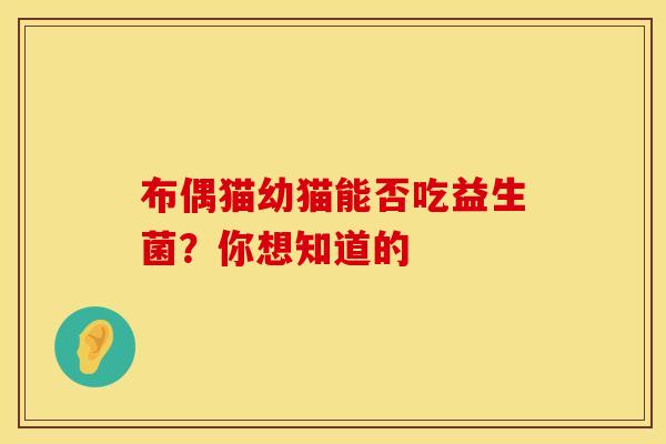 布偶猫幼猫能否吃益生菌？你想知道的