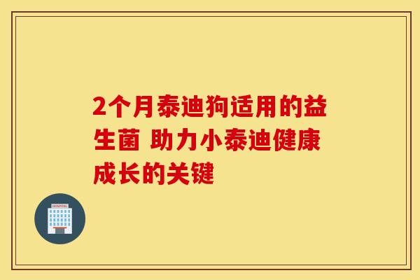 2个月泰迪狗适用的益生菌 助力小泰迪健康成长的关键 2个月泰迪狗适用的益生菌 助力小泰迪健康成长的关键
