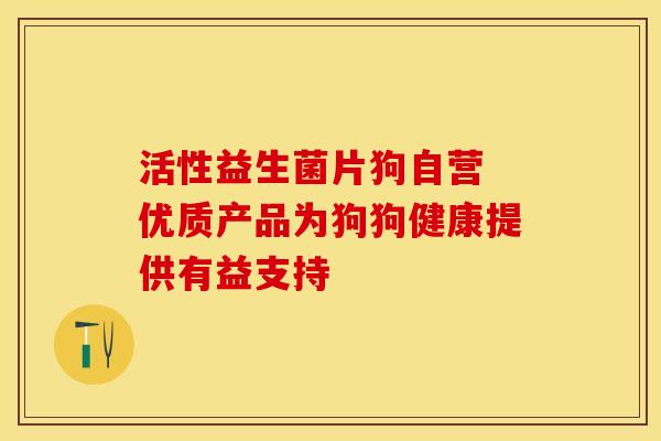 活性益生菌片狗自营 优质产品为狗狗健康提供有益支持