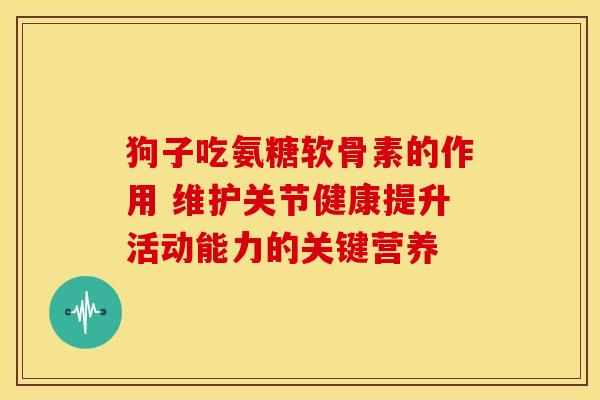 狗子吃氨糖软骨素的作用 维护关节健康提升活动能力的关键营养