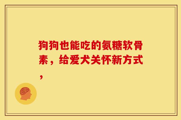 狗狗也能吃的氨糖软骨素，给爱犬关怀新方式，