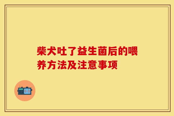 柴犬吐了益生菌后的喂养方法及注意事项