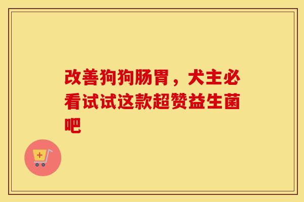 改善狗狗肠胃，犬主必看试试这款超赞益生菌吧