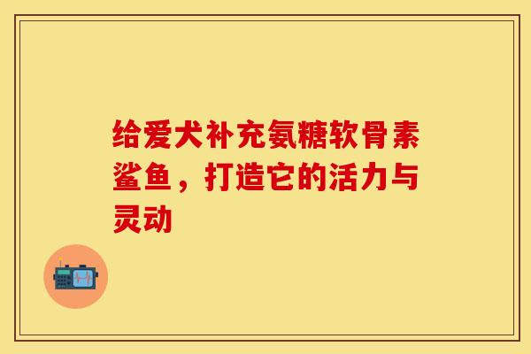 给爱犬补充氨糖软骨素鲨鱼，打造它的活力与灵动