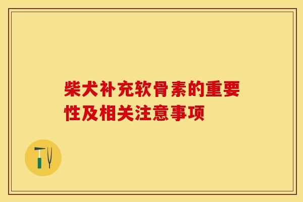 柴犬补充软骨素的重要性及相关注意事项