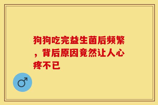 狗狗吃完益生菌后频繁，背后原因竟然让人心疼不已