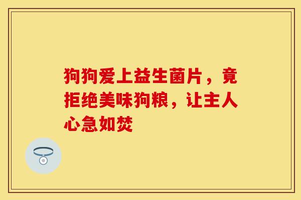 狗狗爱上益生菌片，竟拒绝美味狗粮，让主人心急如焚