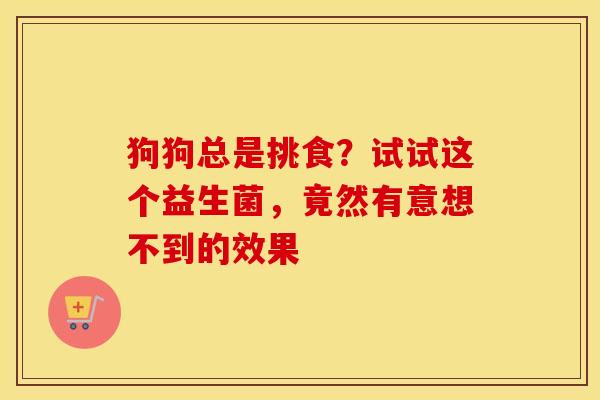 狗狗总是挑食？试试这个益生菌，竟然有意想不到的效果