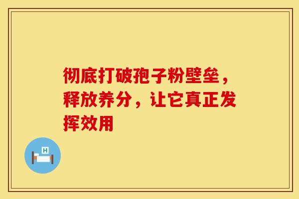 彻底打破孢子粉壁垒，释放养分，让它真正发挥效用