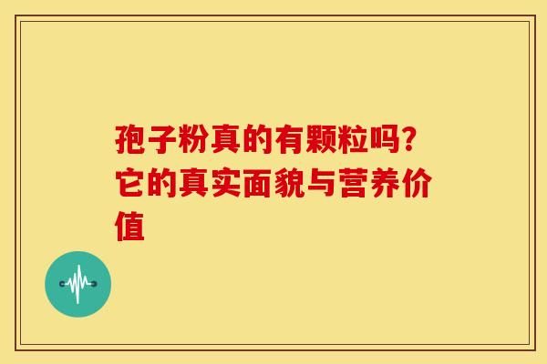 孢子粉真的有颗粒吗？它的真实面貌与营养价值