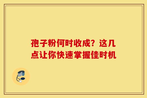 孢子粉何时收成？这几点让你快速掌握佳时机