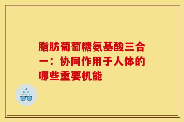 脂肪葡萄糖氨基酸三合一：协同作用于人体的哪些重要机能