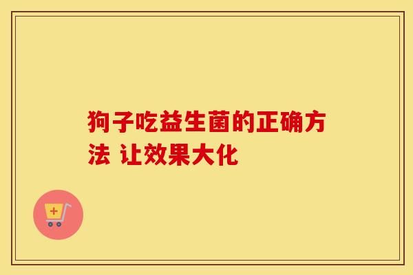 狗子吃益生菌的正确方法 让效果大化
