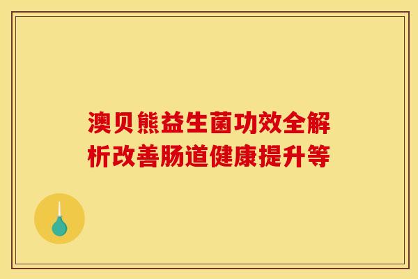 澳贝熊益生菌功效全解析改善肠道健康提升等