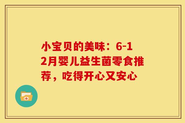 小宝贝的美味：6-12月婴儿益生菌零食推荐，吃得开心又安心