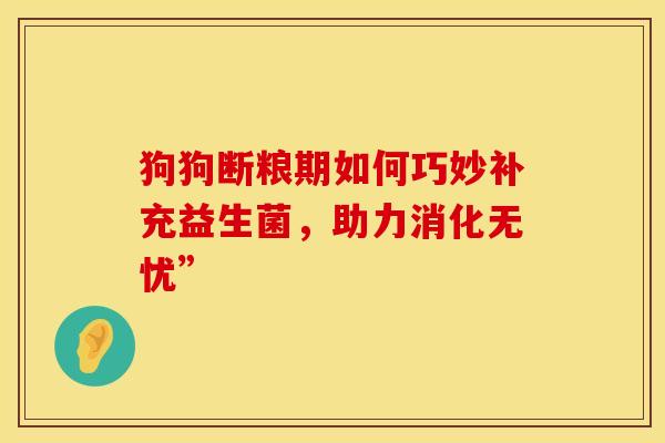 狗狗断粮期如何巧妙补充益生菌，助力消化无忧”