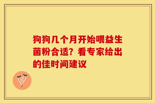 狗狗几个月开始喂益生菌粉合适?看专家给出的佳时间建议 狗狗几个月开始喂益生菌粉合适?看专家给出的佳时间建议