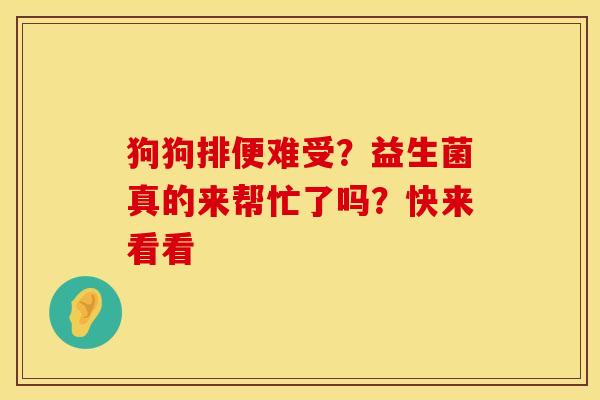 狗狗排便难受？益生菌真的来帮忙了吗？快来看看