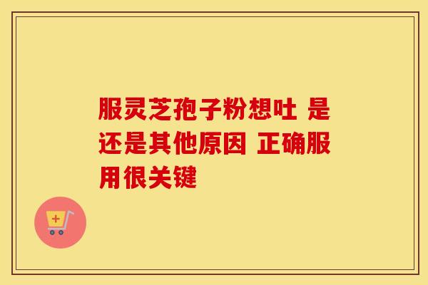 服灵芝孢子粉想吐 是还是其他原因 正确服用很关键