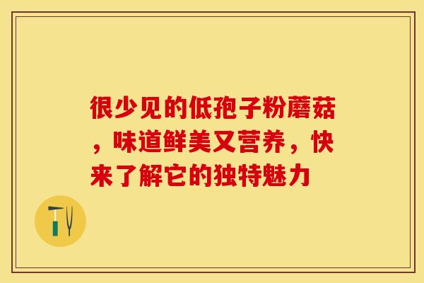 很少见的低孢子粉蘑菇，味道鲜美又营养，快来了解它的独特魅力