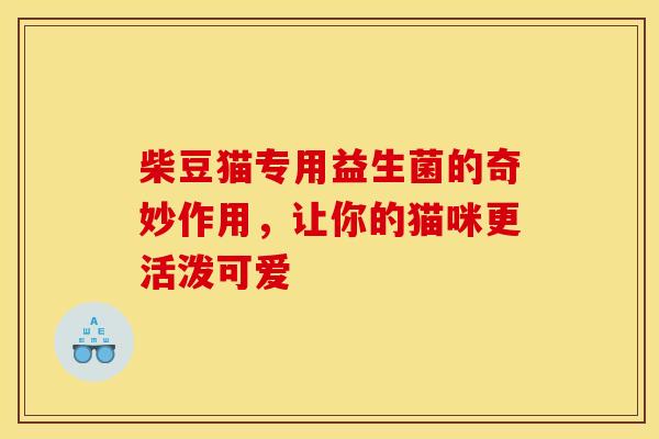 柴豆猫专用益生菌的奇妙作用，让你的猫咪更活泼可爱