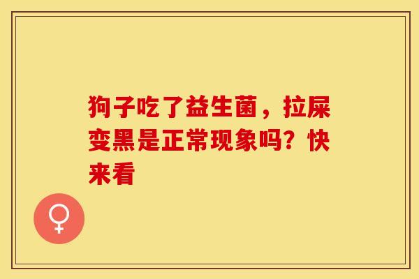 狗子吃了益生菌，拉屎变黑是正常现象吗？快来看