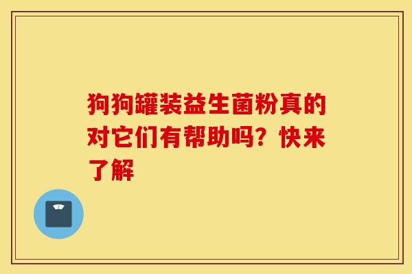 狗狗罐装益生菌粉真的对它们有帮助吗？快来了解