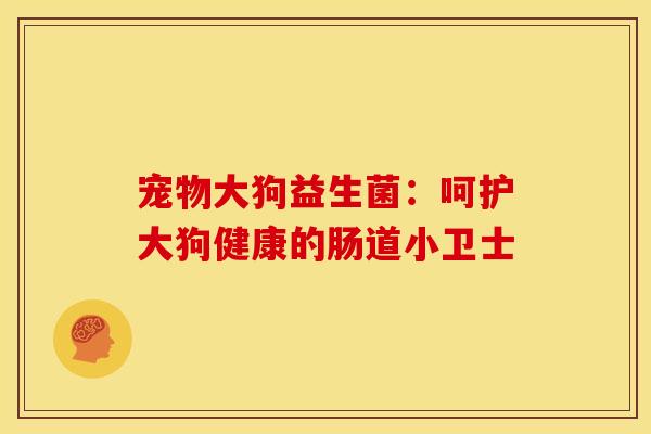 宠物大狗益生菌：呵护大狗健康的肠道小卫士