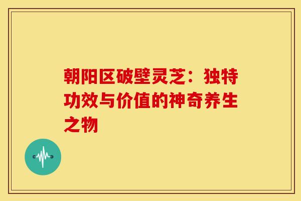 朝阳区破壁灵芝：独特功效与价值的神奇养生之物