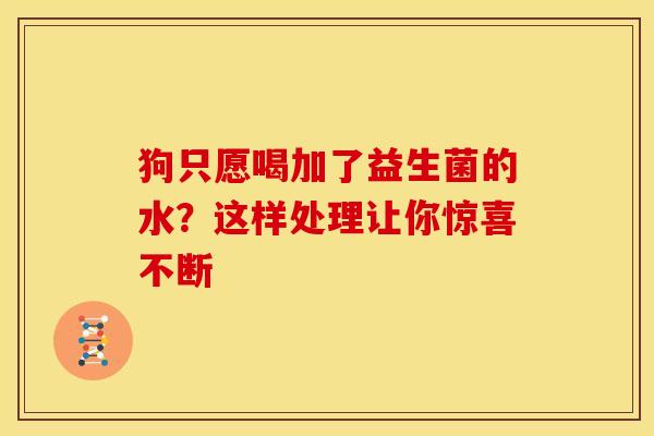 狗只愿喝加了益生菌的水？这样处理让你惊喜不断