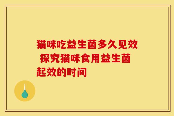 猫咪吃益生菌多久见效 探究猫咪食用益生菌起效的时间 猫咪吃益生菌多久见效 探究猫咪食用益生菌起效的时间