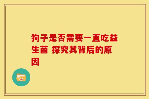狗子是否需要一直吃益生菌 探究其背后的原因 狗子是否需要一直吃益生菌 探究其背后的原因