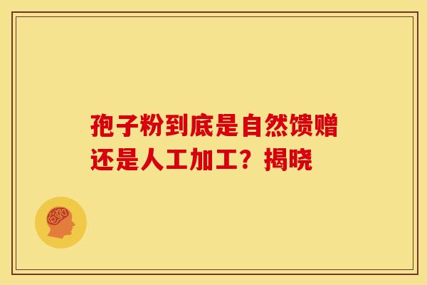 孢子粉到底是自然馈赠还是人工加工？揭晓
