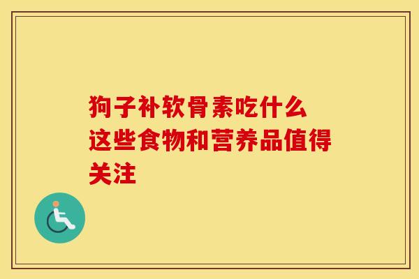 狗子补软骨素吃什么 这些食物和营养品值得关注