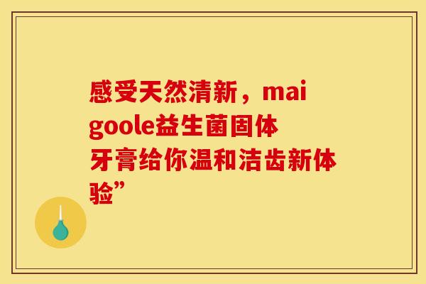 感受天然清新，maigoole益生菌固体牙膏给你温和洁齿新体验”