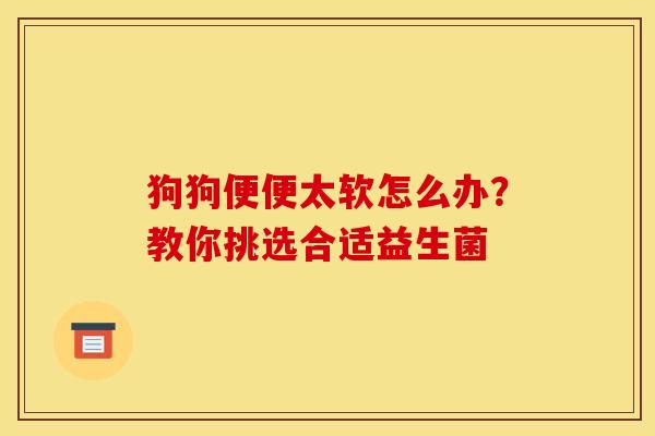狗狗便便太软怎么办?教你挑选合适益生菌 狗狗便便太软怎么办?教你挑选合适益生菌