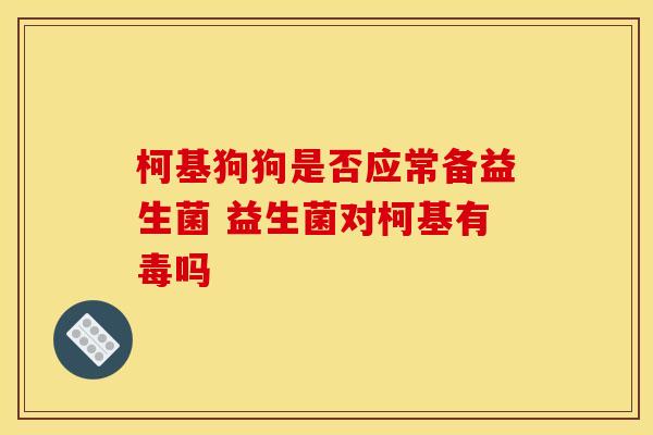 柯基狗狗是否应常备益生菌 益生菌对柯基有毒吗