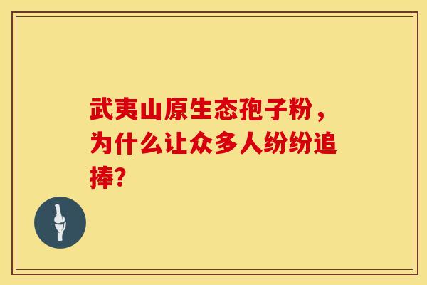武夷山原生态孢子粉，为什么让众多人纷纷追捧？