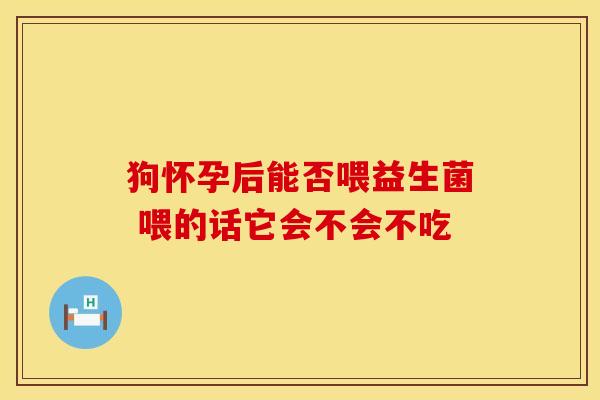 狗怀孕后能否喂益生菌 喂的话它会不会不吃