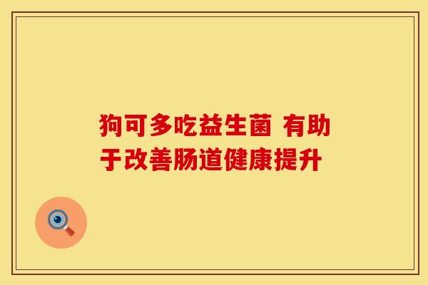 狗可多吃益生菌 有助于改善肠道健康提升