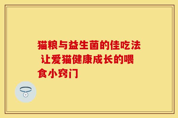 猫粮与益生菌的佳吃法 让爱猫健康成长的喂食小窍门