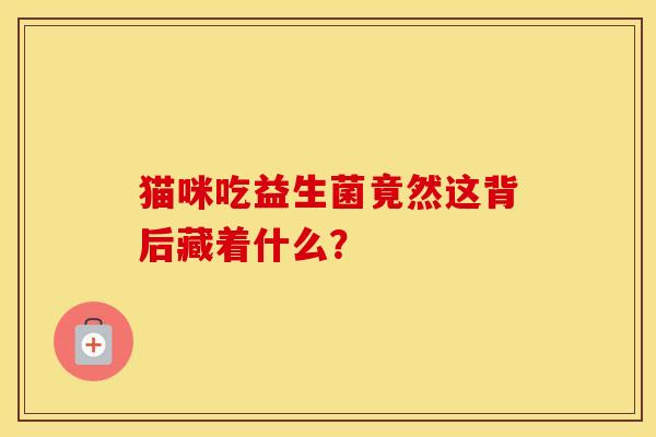 猫咪吃益生菌竟然这背后藏着什么？