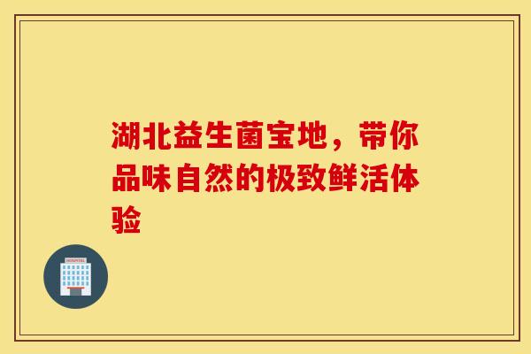 湖北益生菌宝地，带你品味自然的极致鲜活体验