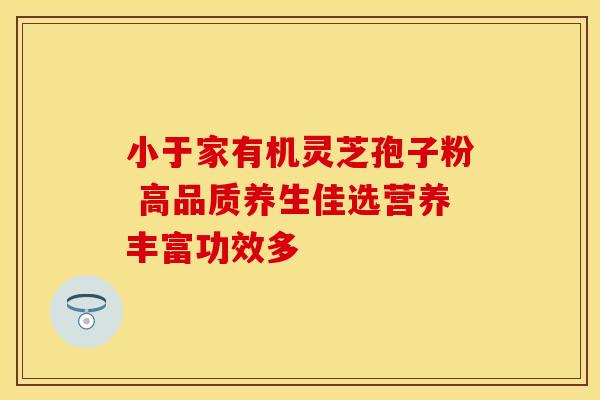 小于家有机灵芝孢子粉 高品质养生佳选营养丰富功效多