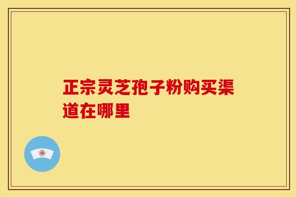 正宗灵芝孢子粉购买渠道在哪里