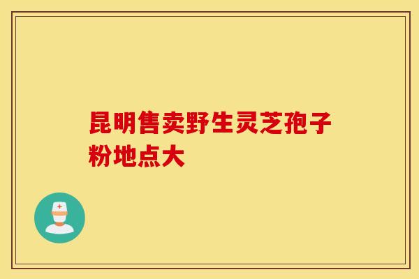 昆明售卖野生灵芝孢子粉地点大