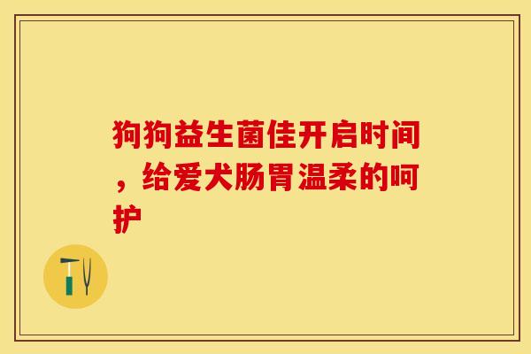 狗狗益生菌佳开启时间，给爱犬肠胃温柔的呵护