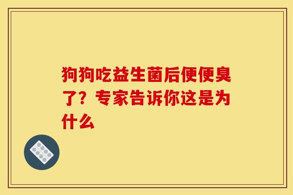 狗狗吃益生菌后便便臭了?专家告诉你这是为什么 狗狗吃益生菌后便便臭了?专家告诉你这是为什么
