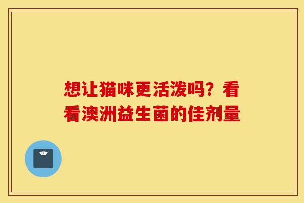 想让猫咪更活泼吗？看看澳洲益生菌的佳剂量