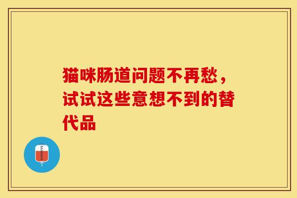 猫咪肠道问题不再愁,试试这些意想不到的替代品 猫咪肠道问题不再愁,试试这些意想不到的替代品